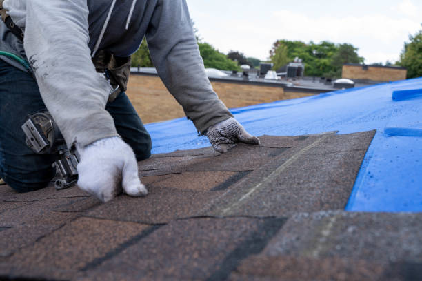 Best Best Roofing Contractors  in White Hall, WV