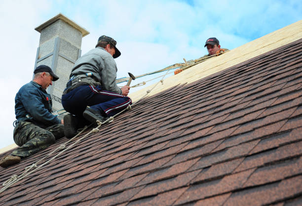 Professional Roofing Contractor in White Hall, WV